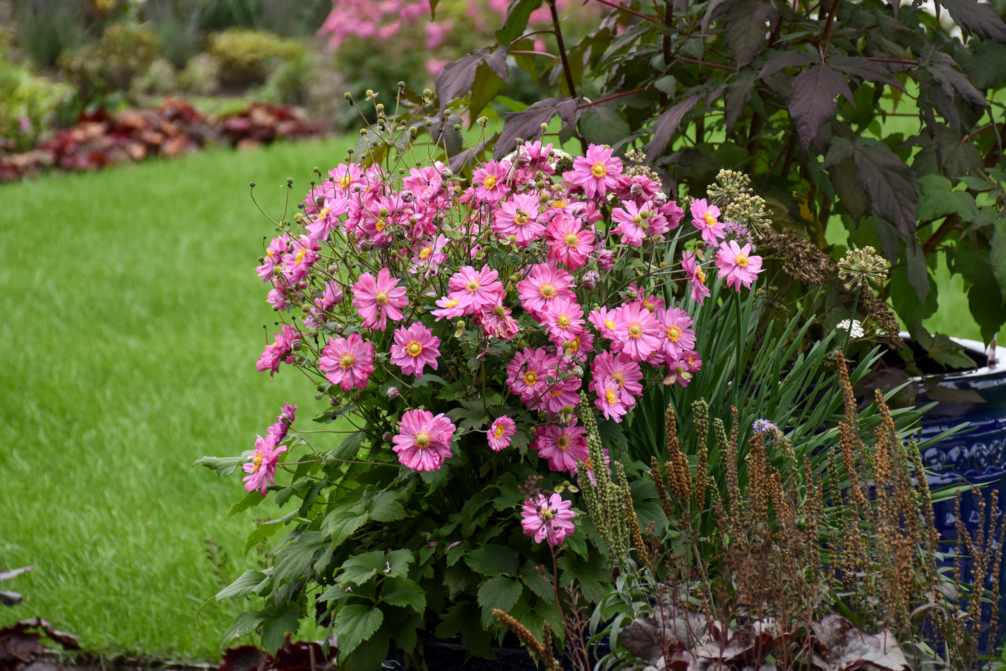 wall garden