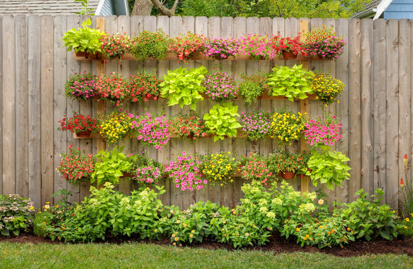 wall garden