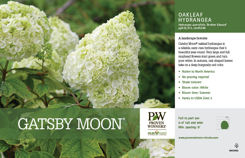 GATSBY MOON
